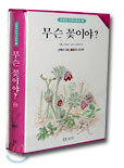 무슨 꽃이야?