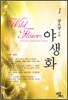 야생화 1