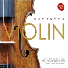 당신이 꼭 알아야 할 바이올린