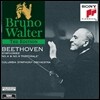 Bruno Walter 베토벤: 교향곡 4번 6번 "전원" (Beethoven: Symphony No.4, No.6 `Pastoral`) 브루노 발터