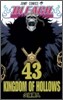 BLEACH ブリ-チ 43