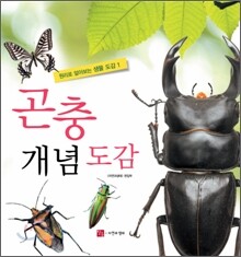 곤충 개념 도감