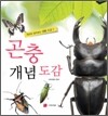 곤충 개념 도감