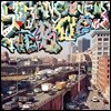 Sufjan Stevens - The BQE (The Brooklyn - Queens Expressway) [Special Edition]