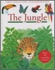 First Discovery Sticker Books : Jungle