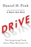 Drive: The Surprising Truth about What Motivates Us
