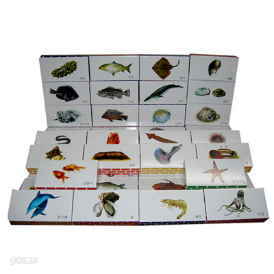 2010년 최신종이벽돌 물고기 인지 종이벽돌블럭(50장)