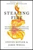 Stealing Fire: How Silicon Valley, the Navy SEALs, and Maverick Scientists Are Revolutionizing the Way We Live and Work