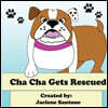 Cha Cha Gets Rescued
