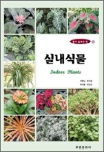 실내식물