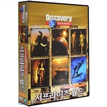 디스커버리 화제작! 서프라이즈 월드(Surprise World) DVD 10장 세트