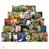 재미 ZOO (사진으로 보는 재미있는 동물원) (전32권)