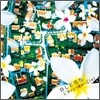 L'Arc~en~Ciel - Bless