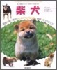 柴犬