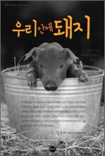 우리 안에 돼지