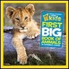 Little Kids First Big Book of Animals