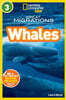 National Geographic Kids Readers Level 3 : Great Migrations Whales