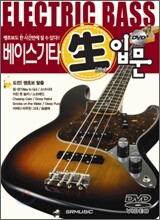 베이스기타 쌩입문