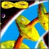 Ozric Tentacles - Strangitude
