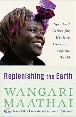 Replenishing the Earth: Spiritual Values for Healing Ourselves and the World