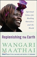 Replenishing the Earth: Spiritual Values for Healing Ourselves and the World