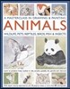 A Masterclass in Drawing & Painting Animals: Wildlife, Pets, Reptiles, Birds, Fish & Insects