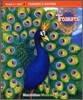 Treasures Grade 3.2 : Teacher's Edition [3.4-3.6]