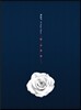 B.A.P (비에이피) - Rose [B ver.]