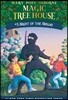 Magic Tree House #5 : Night of the Ninjas
