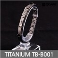 사노피아 티타늄 게르마늄 자석 팔찌 TB-B001 (다크그레이)