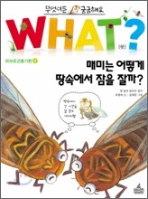 매미는 어떻게 땅속에서 잠을 잘까?