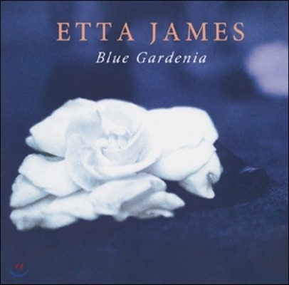 Etta James (에타 제임스) - Blue Gardenia