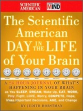 The Scientific American Day in the Life of Your Brain
