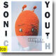 Sonic Youth - Dirty (Deluxe Edition)