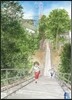 海街diary 8