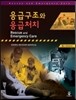 응급구조와 응급처치