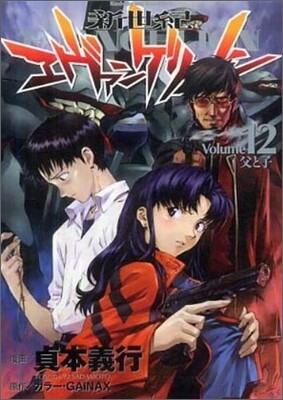 新世紀エヴァンゲリオン 12