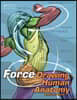 FORCE: Drawing Human Anatomy