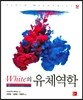 White의 유체역학