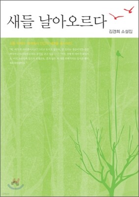 새들 날아오르다