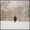 정준일 3집 - 더 아름다운 것