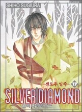 실버 다이아몬드 17