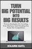 Turn Big Potential Into Big Results: Proven Strategies for Growing Your Business and Standing Out from the Competition