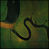 Dead Can Dance - The Serpent's Egg (LP)