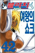 블리치 BLEACH 42