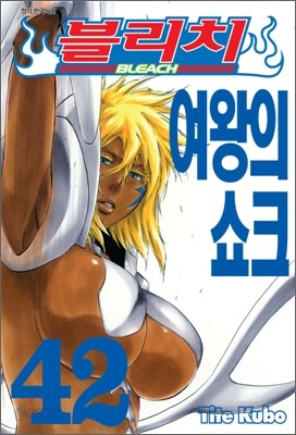 블리치 BLEACH 42