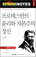 프로테스탄트 윤리와 자본주의 정신