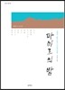 파미르의 밤