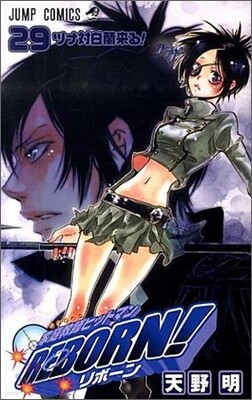 家庭敎師ヒットマンREBORN! 29