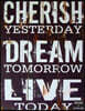 Write Here Notebooks: Quote Notebook/Journal/Diary Collection Unlined Blank Paper 100 Pages 8.5x11 Composition Book Cherish Yesterday Dream